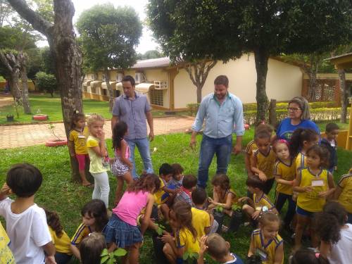 Doação Mudas de Ypê